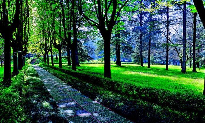 Hotel Terme モンティチェッリ・テルメ エクステリア 写真